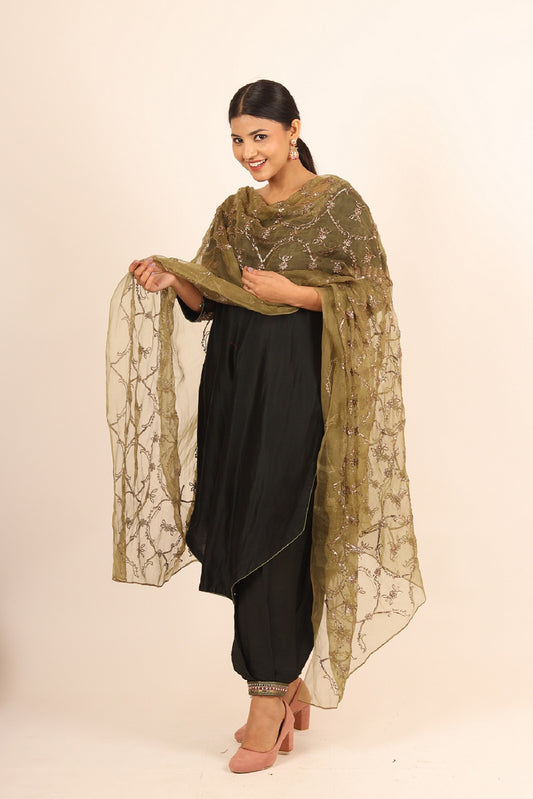 Lightweight comfortable chanderi fabric suit
